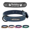 Petoland™ Personalized Dog Collar - Petoland