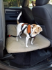 Petoland™ Car Seat Belt for Dog's Safety