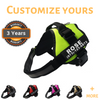 Petoland™ Personalized NO PULL Harness (3 Years Warranty)