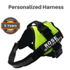 Petoland™ Personalized NO PULL Harness (5 Years Warranty)
