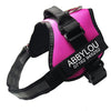 Petoland™ Personalized NO PULL Harness (3 Years Warranty) - Petoland