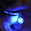 Hot sale 1Pcs Mini Pet Safety Keyring Night Light Pendant Puppy Dog LED Flashing Collar Pendant dropshipping