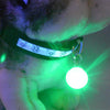 Hot sale 1Pcs Mini Pet Safety Keyring Night Light Pendant Puppy Dog LED Flashing Collar Pendant dropshipping