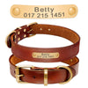Petoland™ Personalized Leather Dog Collar (Brown)