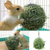 Stainless Steel Pet Feed Dispense Exercise Hanging Hay Ball