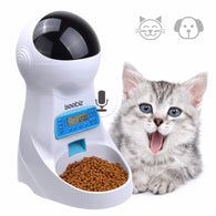 Automatic Pet Food Feeder With Voice Recording Pets food Dispensers