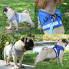 Nylon Mesh Puppy Cat & Dog Harness Vest for Comfortable Walking