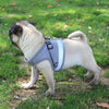 Nylon Mesh Puppy Cat & Dog Harness Vest for Comfortable Walking