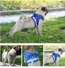 Nylon Mesh Puppy Cat & Dog Harness Vest for Comfortable Walking