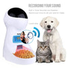 Automatic Pet Food Feeder With Voice Recording Pets food Dispensers