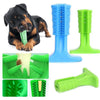 Dog Toothbrush - Petoland