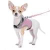 Orange/Pink Pet Cat Harness Leash Set Cotton Collars Vest