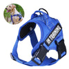 Petoland™ Personalized Ventilation Harness NO PULL (3 Years Warranty)