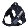 Petoland™ Personalized Ventilation Harness NO PULL (3 Years Warranty)