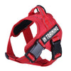 Petoland™ Personalized Ventilation Harness NO PULL (3 Years Warranty)