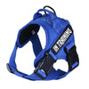 Petoland™ Personalized Ventilation Harness NO PULL (3 Years Warranty)