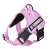 Petoland™ Personalized Ventilation Harness NO PULL (3 Years Warranty)