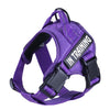 Petoland™ Personalized Ventilation Harness NO PULL (3 Years Warranty)