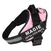 Petoland™ Personalized NO PULL Harness (3 Years Warranty)